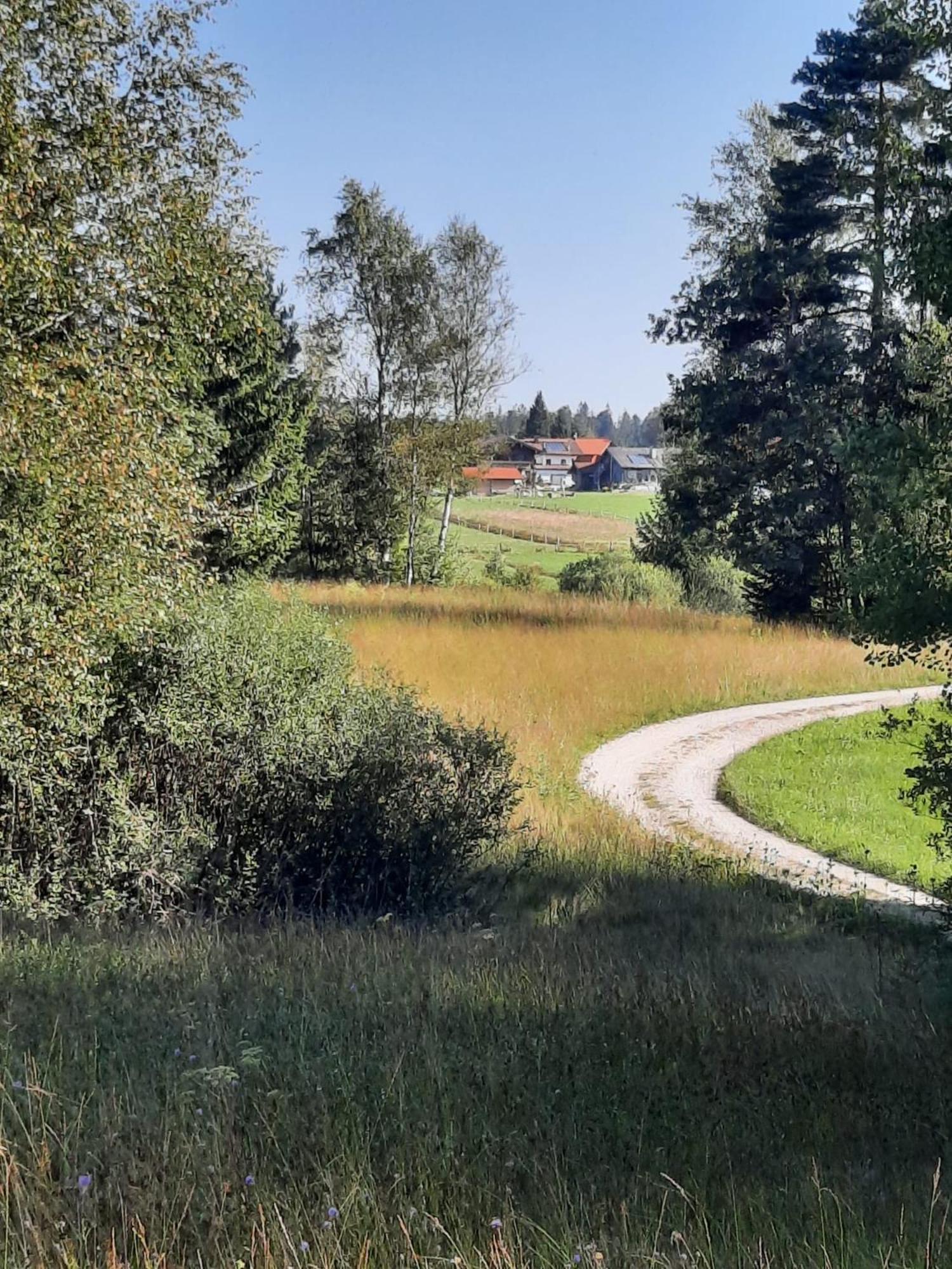 Apartment Am Wirtshof Siegsdorf